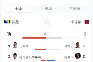 波黑对阵卡塔尔比赛数据：射门比14-9 射正比5-3 角球比5-5 黄牌比0-1